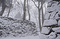 �X�܃C���[�W