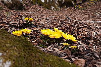 �X�܃C���[�W